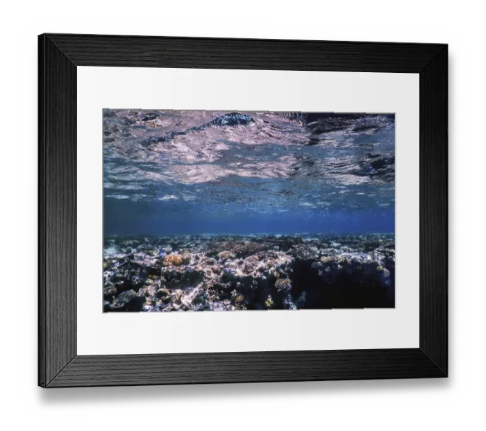 Framed Print : Underwater view of the coral reef Framed Print : Underwater view of the coral reef