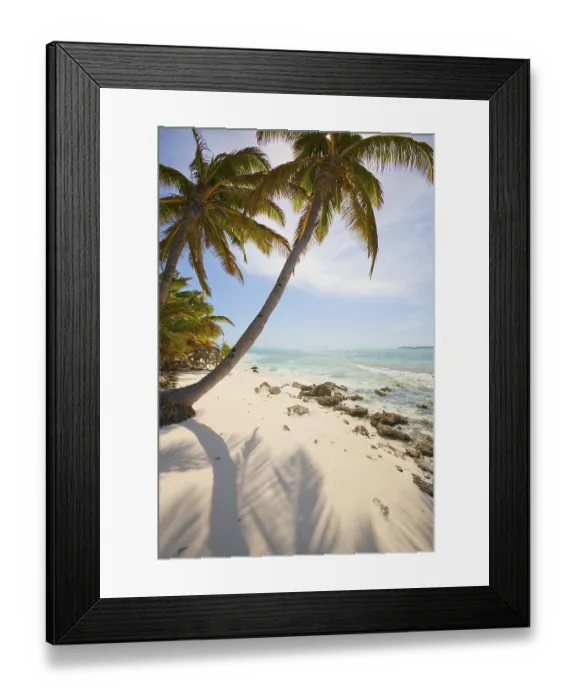 Framed Print : Palm trees on the Cocos (Keeling) Atoll