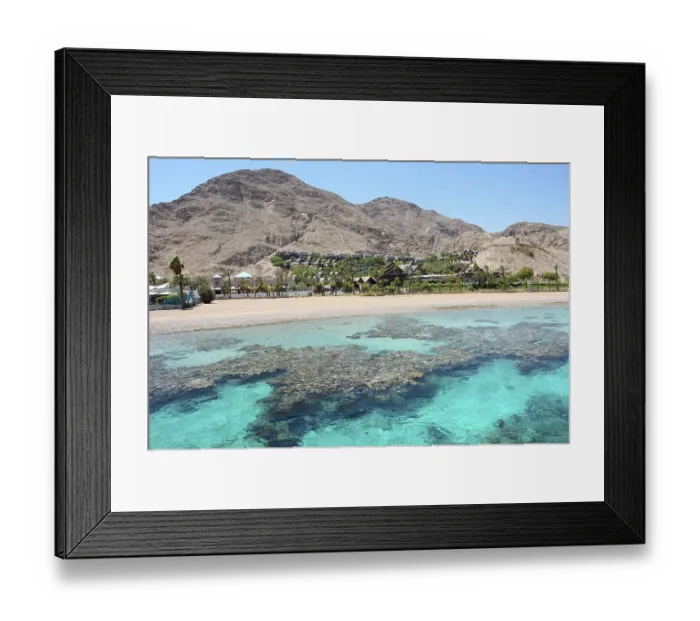 Framed Print : Coral reef in the Gulf of Eilat Red Sea