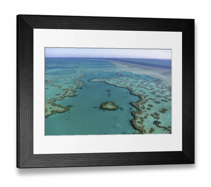Framed Print : Coral Reef, Heart Reef, part of Hardy Reef