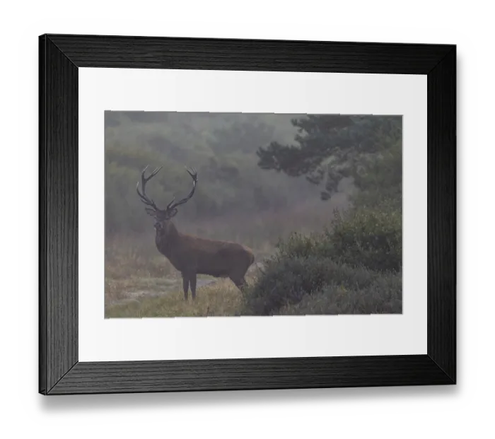 Framed Print : While I'm still standing at the car preparing my photo equipment