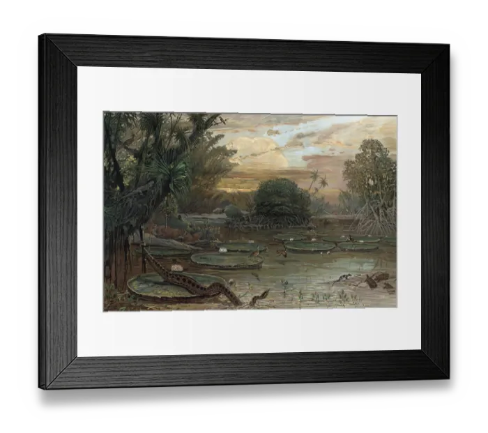 Framed Print : Landscape in Urwlad of Guiana, South America