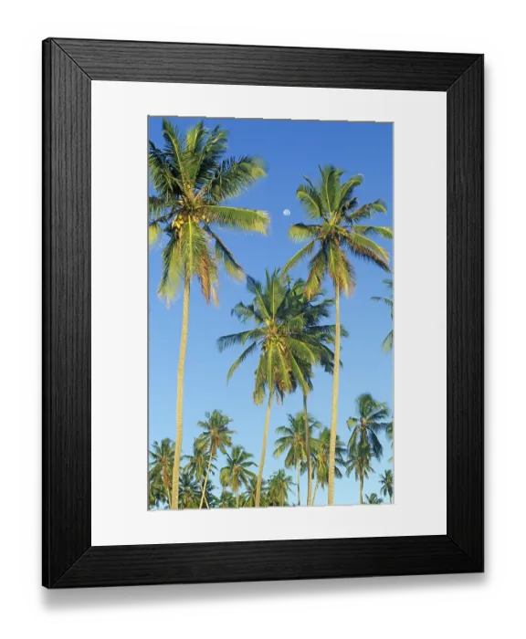 Framed Print : Moon and palm trees on Mikadi Beach