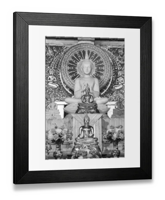 Framed Print : Various Buddha statues, Bhumispara mudra