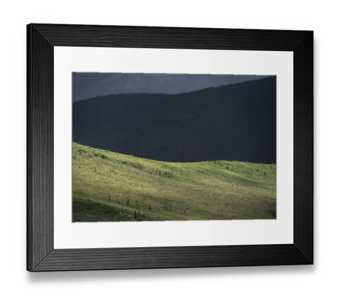 Framed Print : Tundra and taiga, barren meadow landscape and boreal coniferous forest Framed Print : Tundra and taiga, barren meadow landscape and boreal coniferous forest