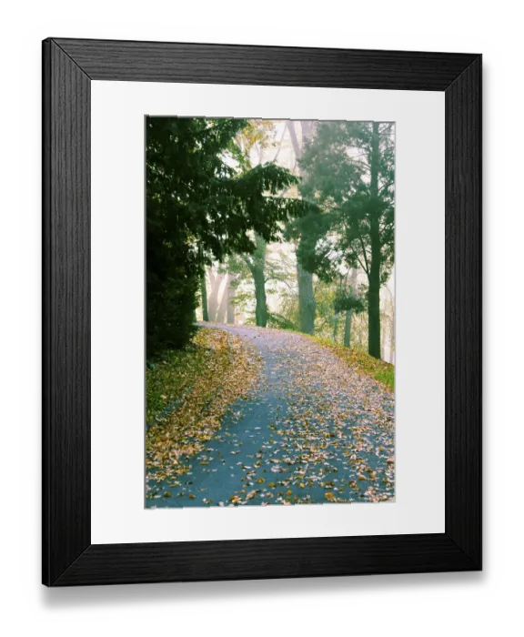 Framed Print : Curving forest path covered in fallen autumn leaves surrounded by trees