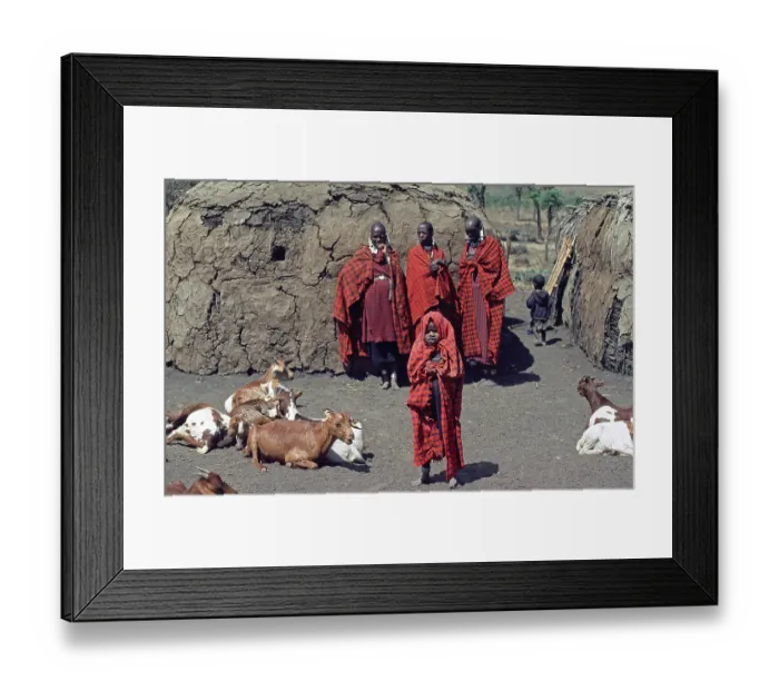 Framed Print : Maasai woman, children and goats in their village in the Ngorongoro Crater