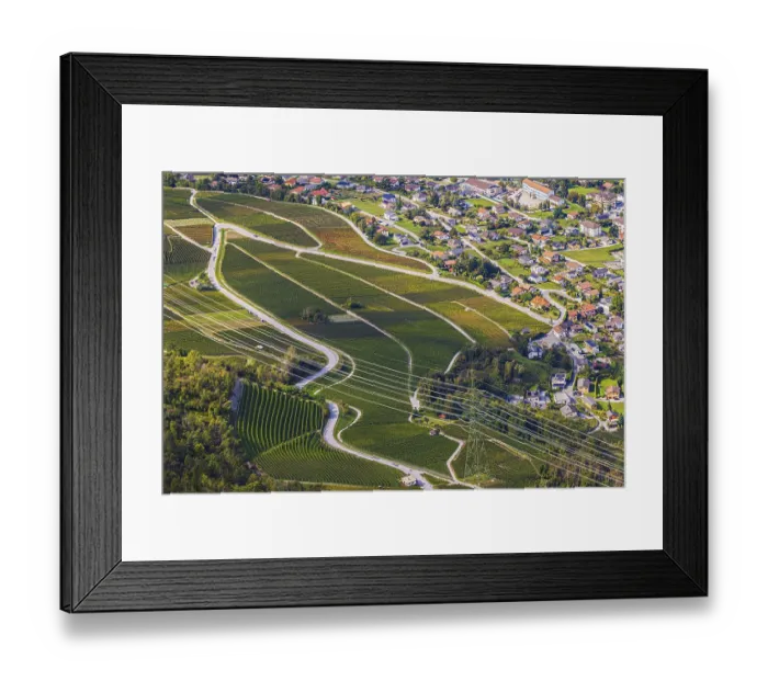 Framed Print : Power lines across vineyards and fields
