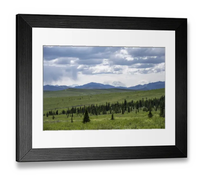 Framed Print : Tundra and mountain landscape with Mount Denali or Mount McKinley in dramatic cloudy skies