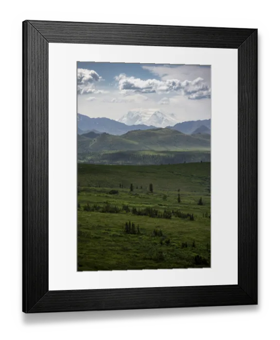 Framed Print : Tundra and glaciated peak of Denali or Mount McKinley Framed Print : Tundra and glaciated peak of Denali or Mount McKinley