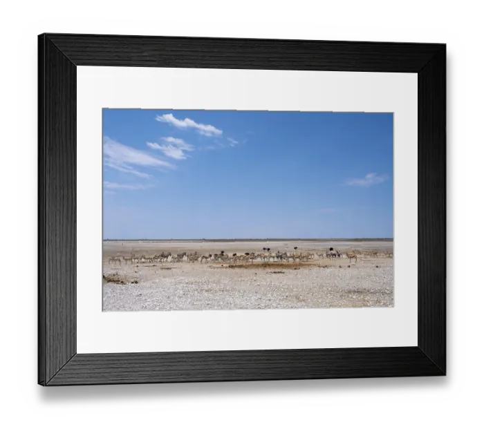 Framed Print : Salt pan in Etosha National Park with animals Framed Print : Salt pan in Etosha National Park with animals