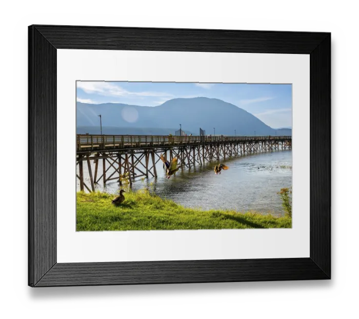 Framed Print : Ducks are flying near a long wooden pier on a sunny day with tourists walking on it