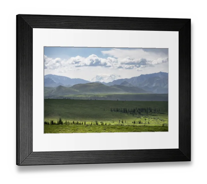 Framed Print : Tundra and glaciated peak of Denali or Mount McKinley