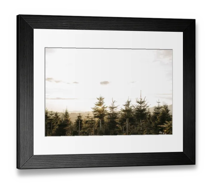 Framed Print : Tannenhain