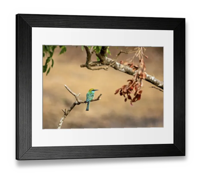 Framed Print : Green bird on a branch next to dry leaves with natural background
