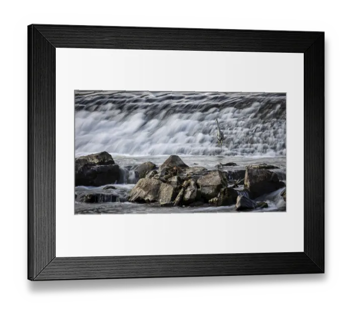 Framed Print : Heron in front of a large waterfall with rocks in the foreground Framed Print : Heron in front of a large waterfall with rocks in the foreground