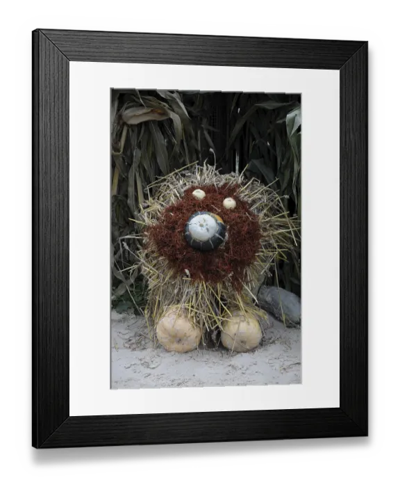 Framed Print : A decorative lion made of pumpkins and straw in an autumn environment Framed Print : A decorative lion made of pumpkins and straw in an autumn environment