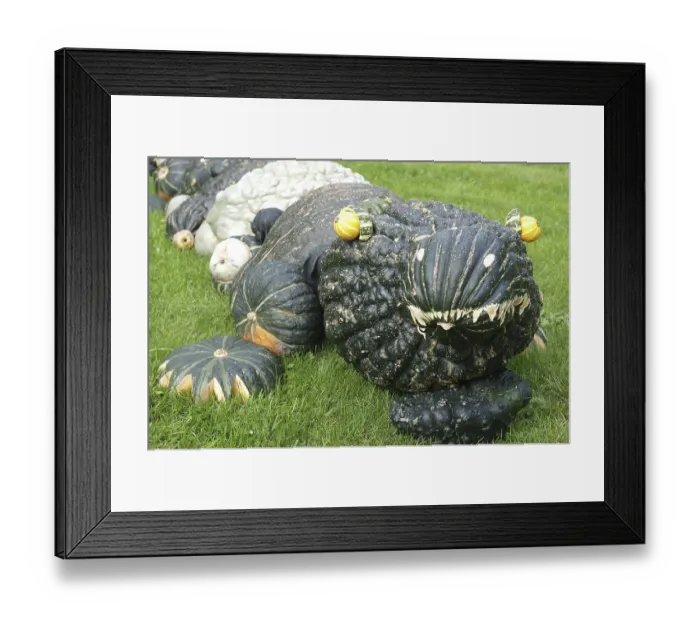 Framed Print : Creative pumpkin sculpture on a green field Framed Print : Creative pumpkin sculpture on a green field