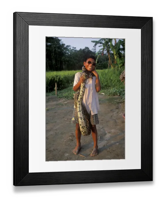 Framed Print : A boy whose father runs a small private zoo near Iquitos on the Amazon shows a boa Framed Print : A boy whose father runs a small private zoo near Iquitos on the Amazon shows a boa