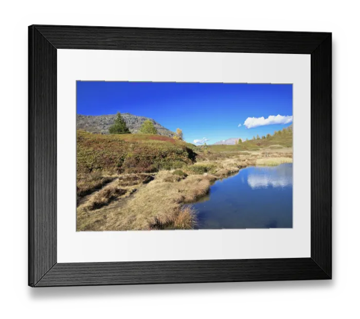 Framed Print : Lakeside meadow with autumn plants under bright blue sky