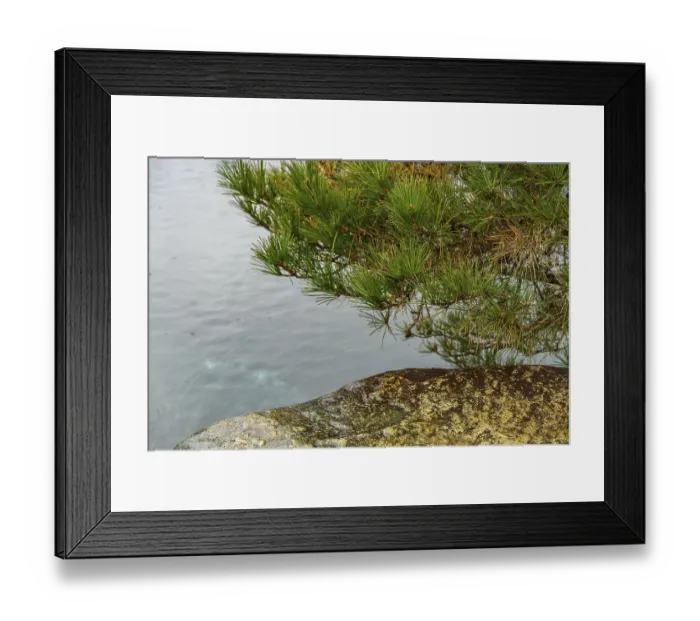 Framed Print : Rocks and tree in a quiet pond