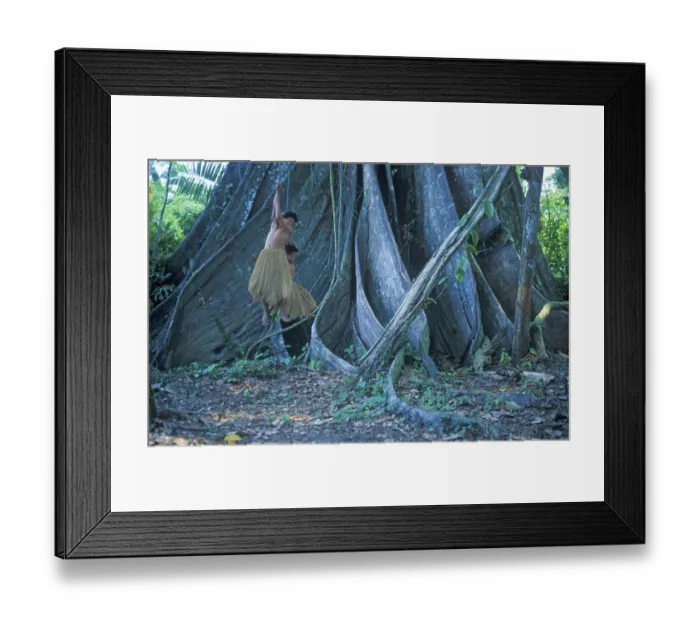 Framed Print : Two boys from a Yagua tribe living near Iquitos on the Amazon use the lianas of a giant tree as a swing