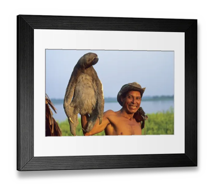 Framed Print : A man who runs a small private zoo near Iquitos on the Amazon shows a sloth