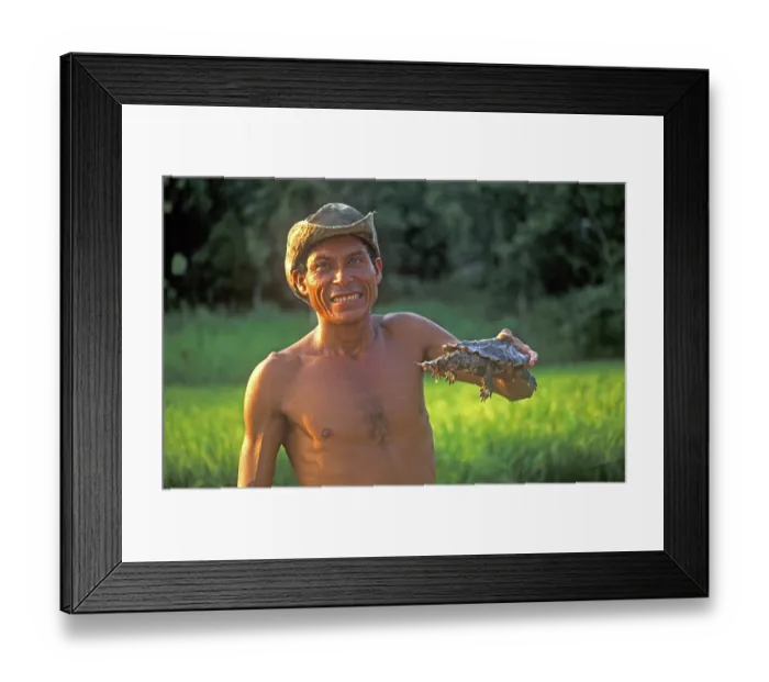 Framed Print : A man who runs a small private zoo near Iquitos on the Amazon shows a turtle Framed Print : A man who runs a small private zoo near Iquitos on the Amazon shows a turtle