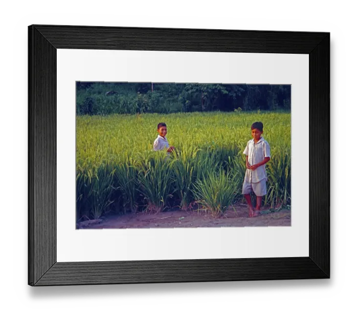 Framed Print : Boys in a cornfield near Iquitos