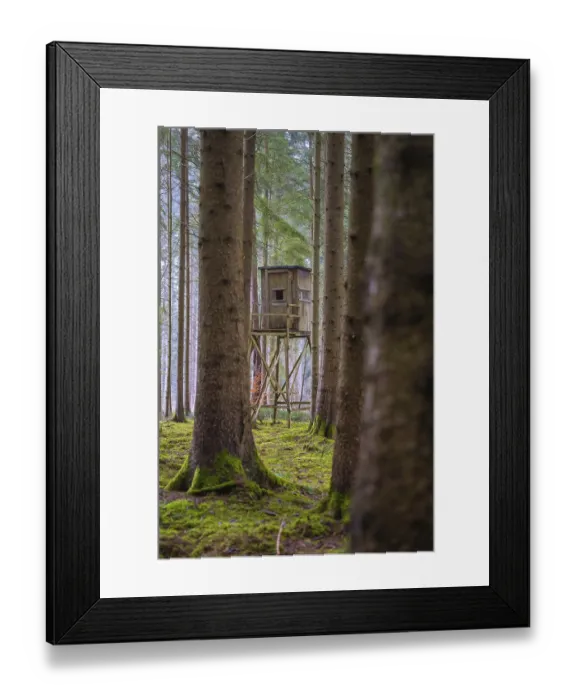 Framed Print : A raised seat stands in the middle of a quiet Framed Print : A raised seat stands in the middle of a quiet