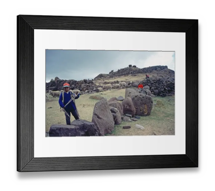 Framed Print : Sheep and children at the Sillustani ruins on Lake Umayo near Puno Framed Print : Sheep and children at the Sillustani ruins on Lake Umayo near Puno