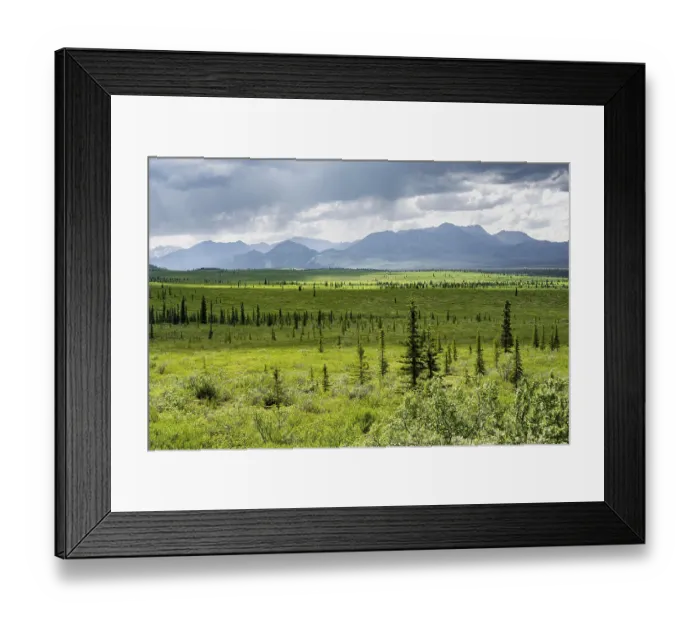 Framed Print : Taiga and tundra, mountain landscape of the Alaska Range with dramatic cloudy sky