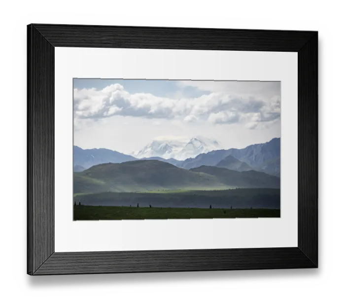 Framed Print : Tundra and glaciated peak of Denali or Mount McKinley