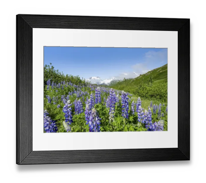 Framed Print : Picturesque landscape on the Richardson Highway