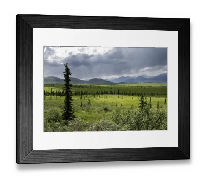 Framed Print : Taiga and tundra, mountain landscape of the Alaska Range with dramatic cloudy sky Framed Print : Taiga and tundra, mountain landscape of the Alaska Range with dramatic cloudy sky