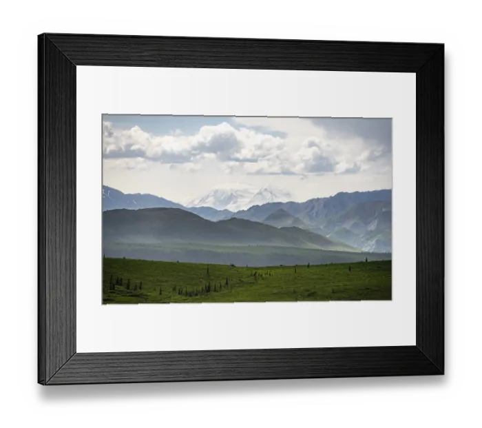 Framed Print : Tundra and glaciated peak of Denali or Mount McKinley Framed Print : Tundra and glaciated peak of Denali or Mount McKinley