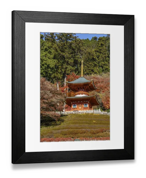 Framed Print : A Japanese temple in an autumn landscape with surrounding trees and colorful foliage