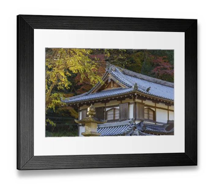 Framed Print : A traditional Japanese temple roof with stone lantern and colorful autumn leaves