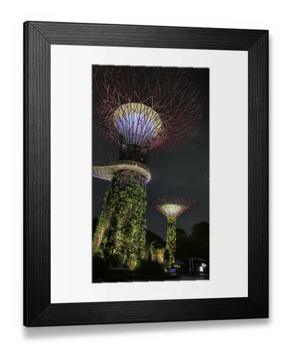 Framed Print : Glowing supertrees at night with dense vegetation and fine lighting