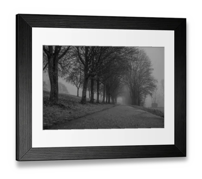 Framed Print : A narrow path leads through a forest with lots of trees