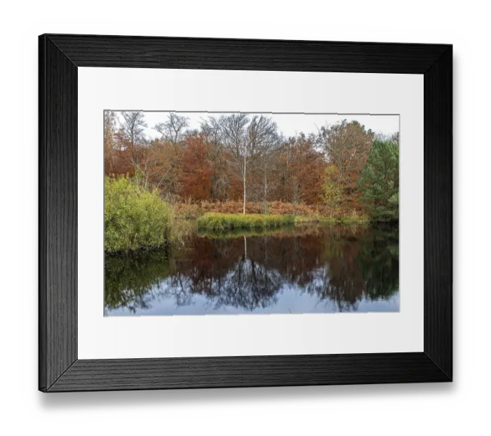 Framed Print : Autumn forest, autumn-colored trees reflected in the water