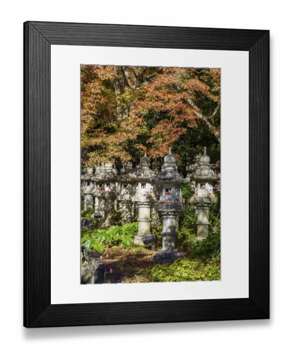 Framed Print : Row of stone lanterns under bright red maple trees in a tranquil forest setting