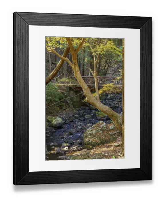 Framed Print : A small stream flows through a forest surrounded by trees and a wooden bridge Framed Print : A small stream flows through a forest surrounded by trees and a wooden bridge