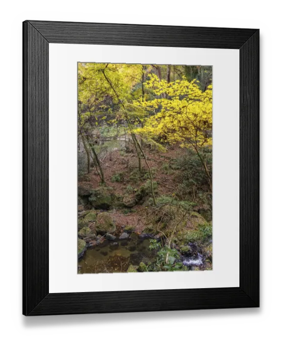 Framed Print : Small stream surrounded by rocks and autumnal yellow trees