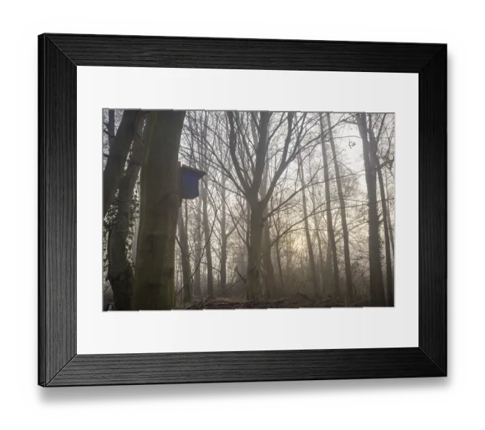 Framed Print : Bird box attached to a tree trunk in a misty forest with sun rays