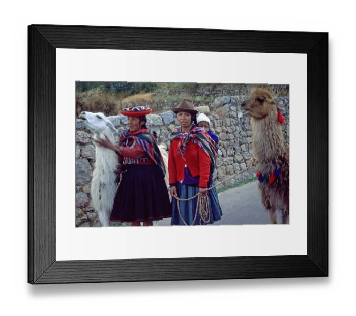 Framed Print : Traditionally dressed woman with llamas and small children in Cusco
