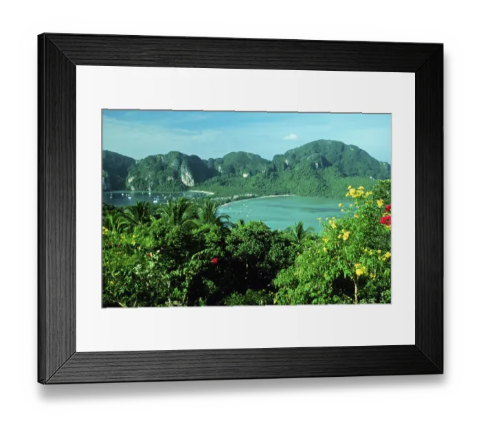 Framed Print : View of the island from the viewpoint one year in front of the tsunami