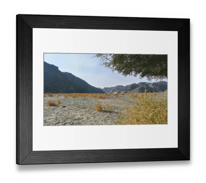 Framed Print : Dry desert area with sporadic shrubs and mountain views