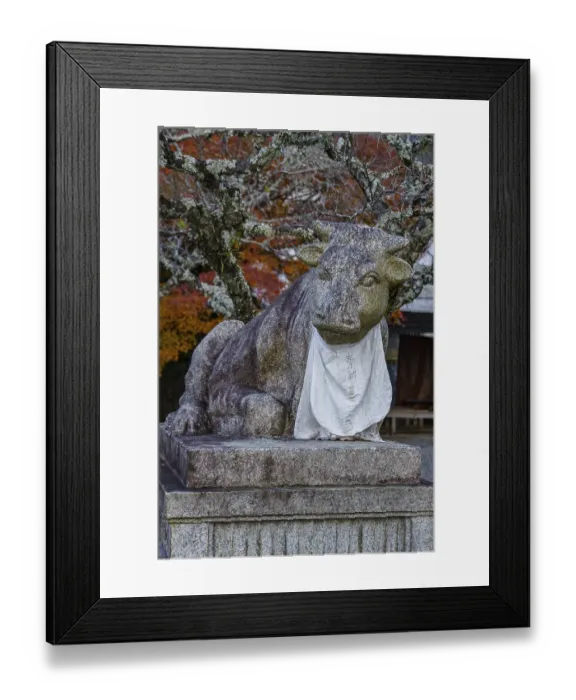 Framed Print : Stone sculpture of a bull with a white cloth and colorful autumn leaves