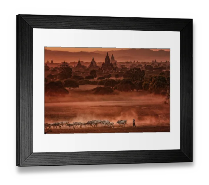 Framed Print : ibxplp15163312.jpg